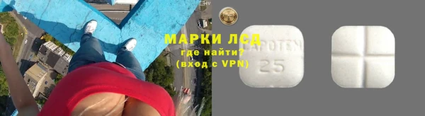 меф Ельня