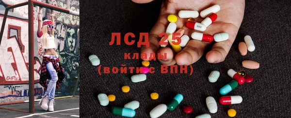 меф Ельня