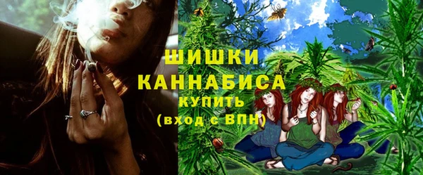 меф Ельня
