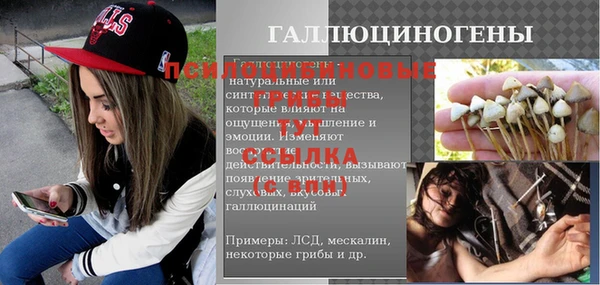 меф Ельня