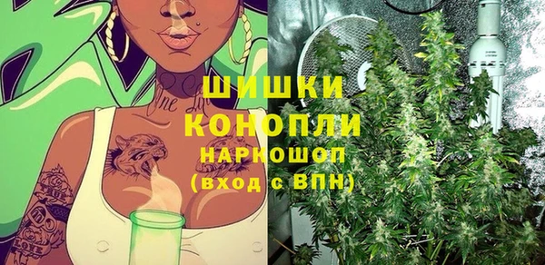 меф Ельня