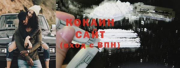 меф Ельня