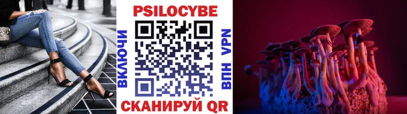 Галлюциногенные грибы Psilocybine cubensis  Купить закладки  Еманжелинск 